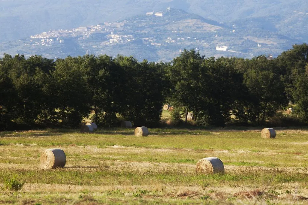 Villa Borgo Iris à Pietraia