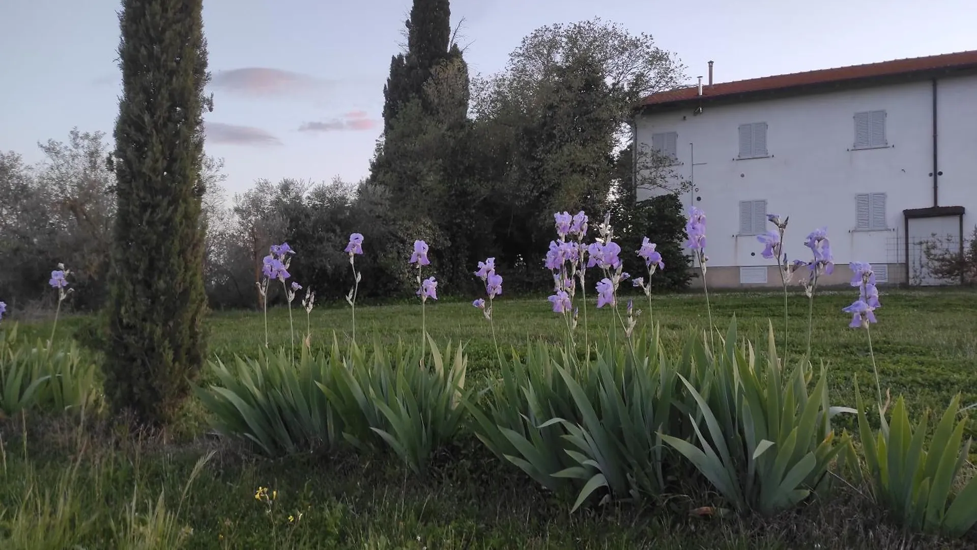 Borgo Iris Apartment Pietraia 0*,