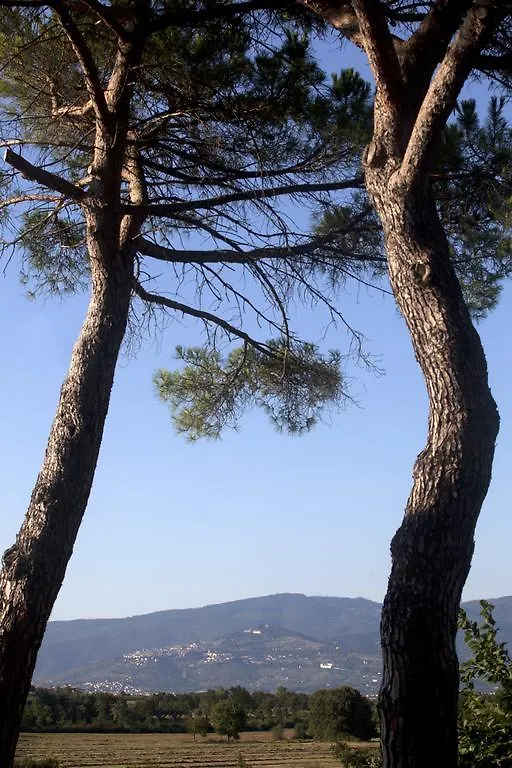 Farm stay Borgo Iris Apartment Pietraia