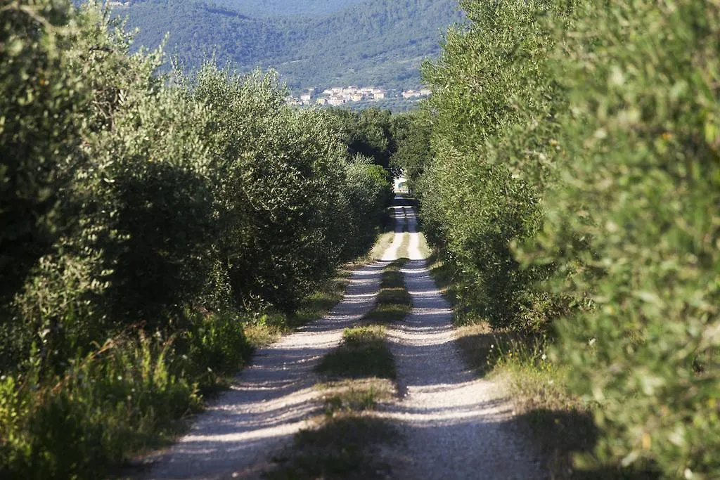 Farm stay Borgo Iris Apartment Pietraia