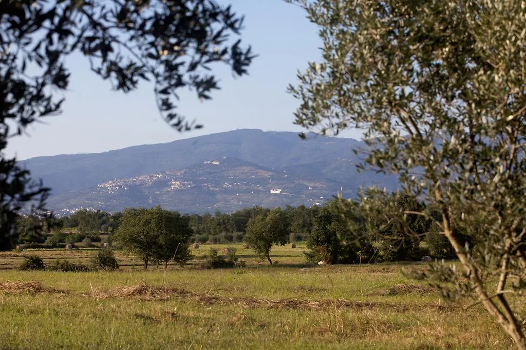 Borgo Iris Apartment Pietraia 0*,